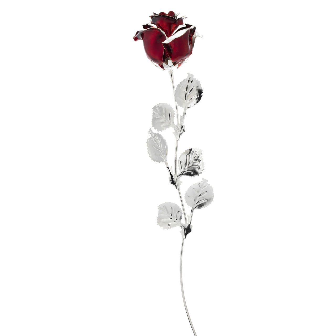 3x ROSA CM 39 - BORDEAUX (WITHOUT PACK)
